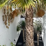 Del Mar Lanzarote - Luxury Beachhouse Арресифе