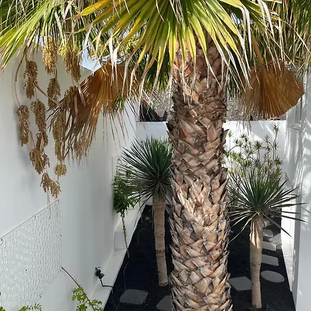 Del Mar Lanzarote - Luxury Beachhouse アレシフェ
